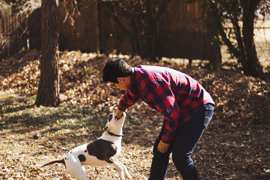 Photo Happy dog